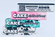 Cake Disposable