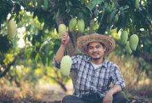 Exotic Fruit Suppliers